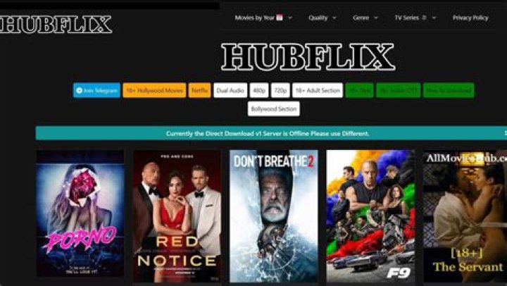 Discovering Hubflix 300: Your Ultimate Streaming Destination